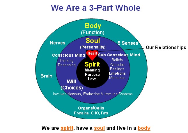 spirit-soul-body-mind-emotions-will.jpg