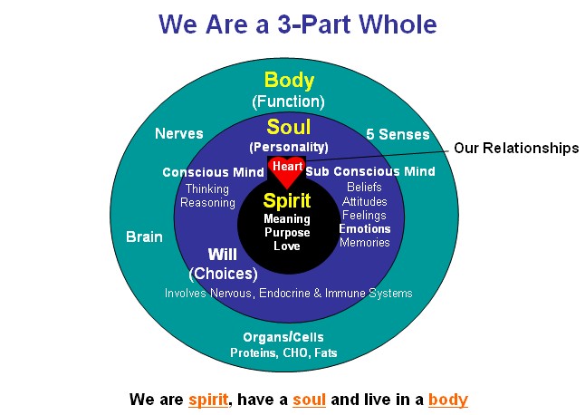 Spirit, Soul, Body, Emotions, Will and Mind - Bible. A Christian perspective & view